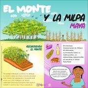 monte-milpa-esp.pdf.jpg